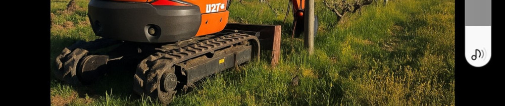 David P. (David location)