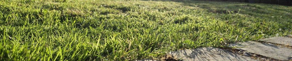 Edouard V. (Edouard Brico A Dom)