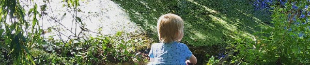 Océane C. (Océane Coustenoble)