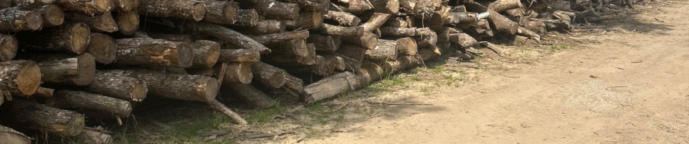 Benjamin D. (Dejou benjamin)