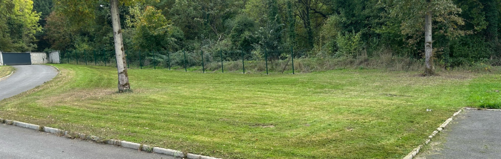 Mayron G. (MGespacesvert)