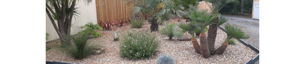 Emmanuel U. (uhlmann)