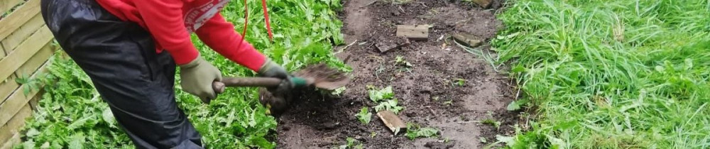 Erlyne A. (Association de la Diaspora ...