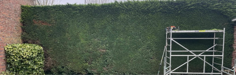 Christopher P. (SER élagage)