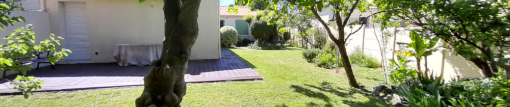 Freddy V. (FVK azur services)