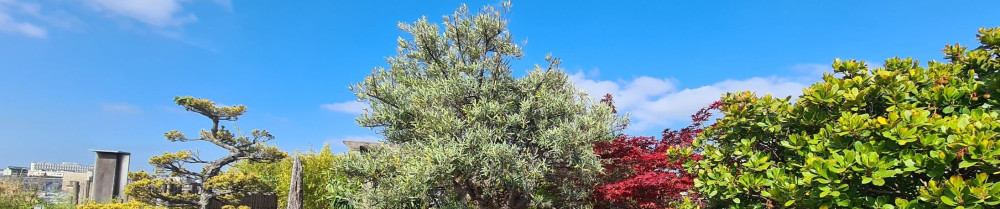 Bilal B. (la main verte)