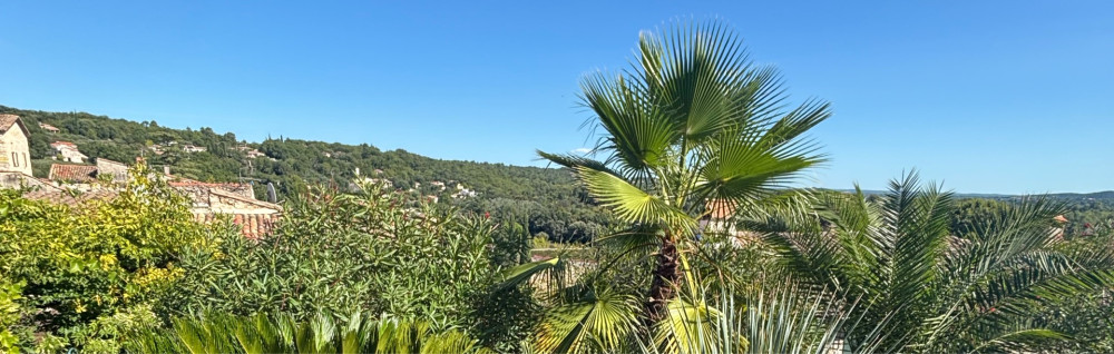 Dario C. (Terres et Paysages du Sud)