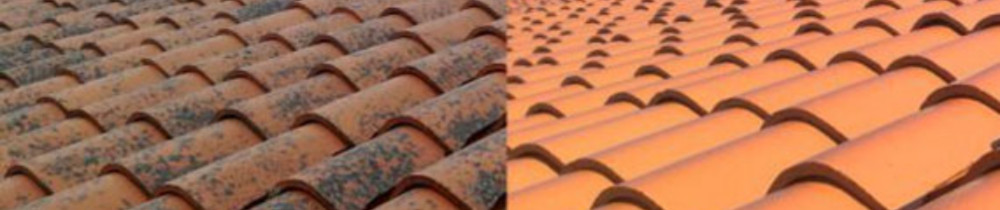 Elie G. (Gse-habitat)