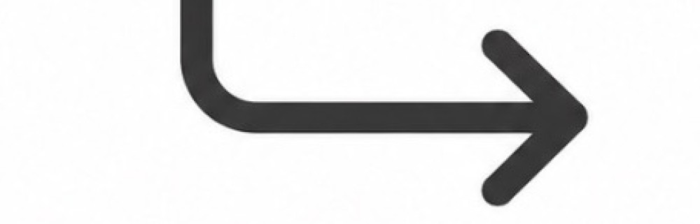 Lionel C. (Lio Multi Services Marseill...