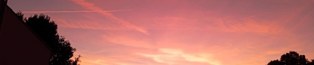 Maéva M. (Côte Ouest Peinture)