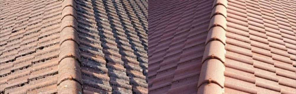 Dawson C. (AD NETTOYAGE)