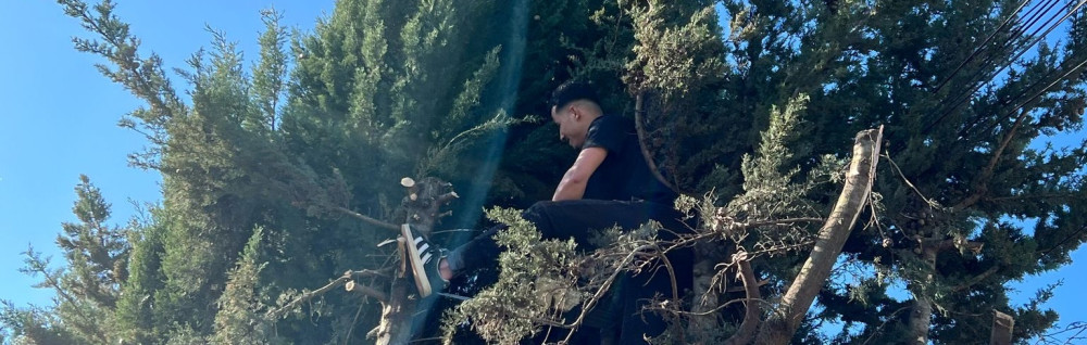 La Poste B. (Mouhammed bourhayel)