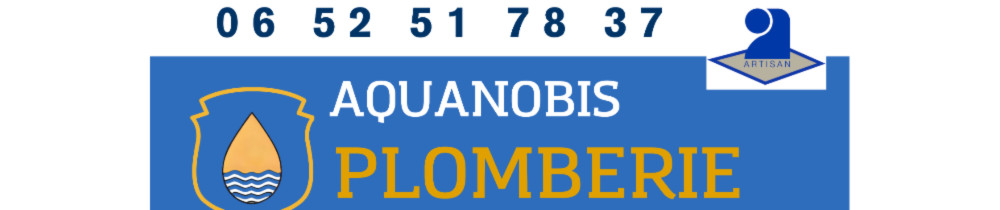 Simon R. (Artisan Plombier)