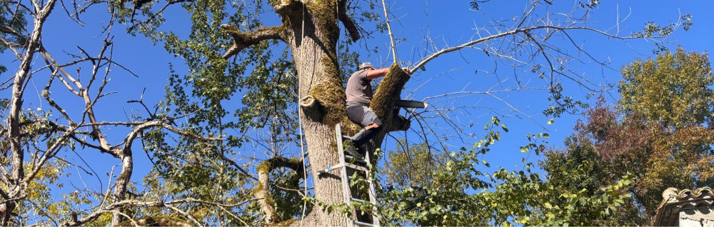 Helfrick F. (Entreprise Moniale)