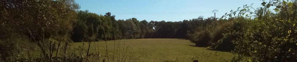 Nicolas H. (permanima)