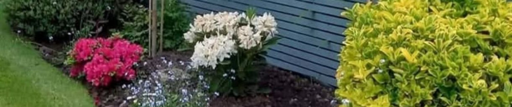 Mickael A. (Les Bons Services De Micka...