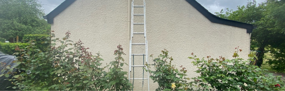 Ismail M. (At Renovation)