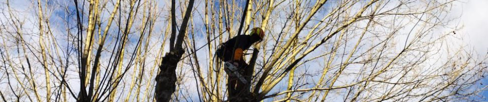 Maxime G. (Grange Maxime)