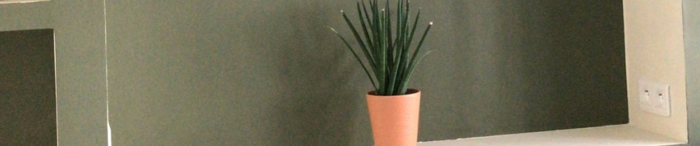 Manuel S. (Manu peinture)