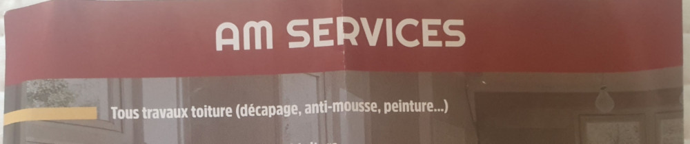 Angelo M. (AM SERVICES)