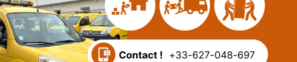 Boris N. (Déménagez malin)