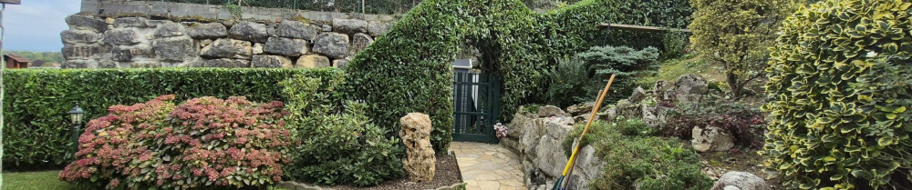 Rigoni Benjamin R. (Ben ben multi-serv...