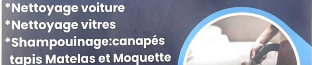 Adlaine Z. (Multi Services Pro)