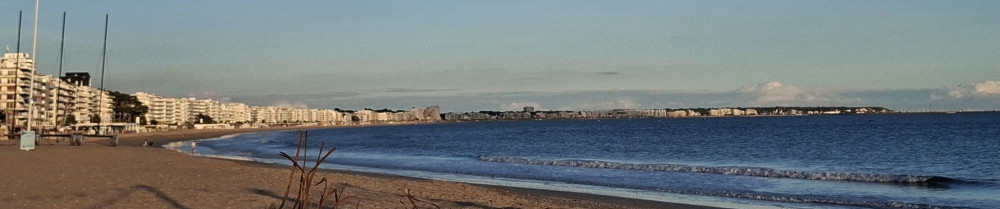 Marinne T.