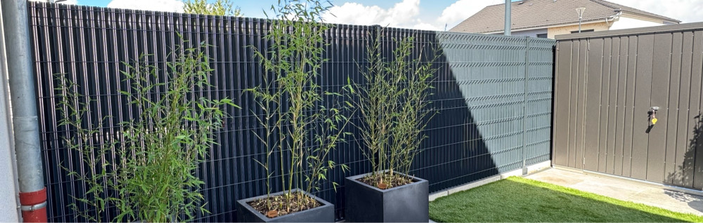 Thomas L. (LT Services)