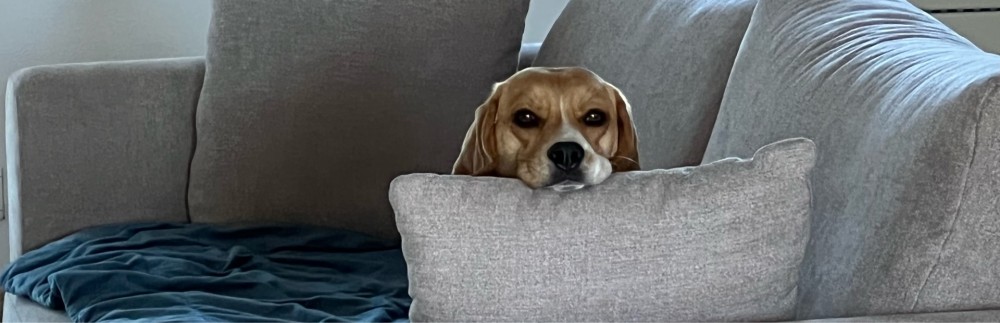 Frédéric C. (Cailleau Services)