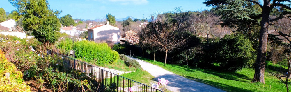 Renard D. (Fox Service)