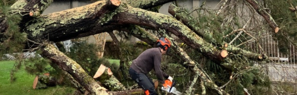 Pierre-Henri C. (PH SERVICES)