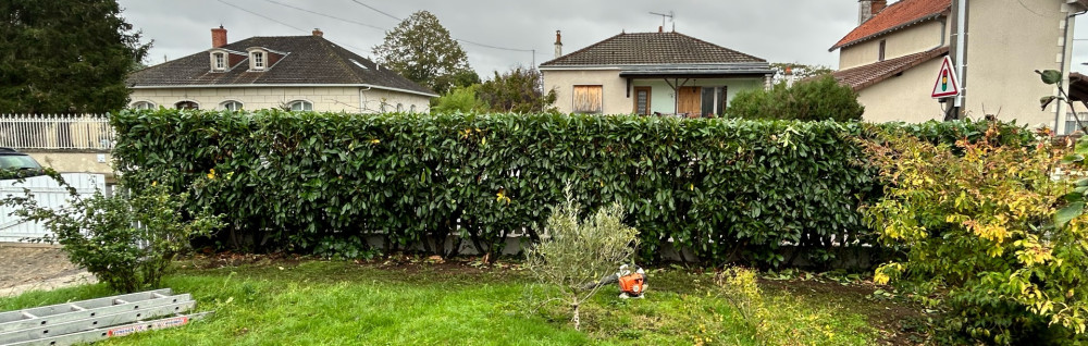 Brigton L. (bl entreprise)