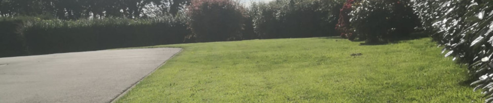 Tristan A. (L'artisan korrigan)