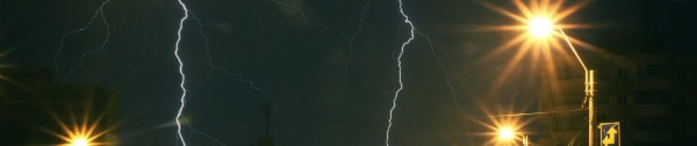 Raihane B. (nifoelck)