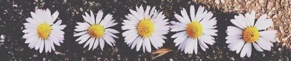 Cassandra B.