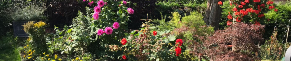Robert M. (O garden services)