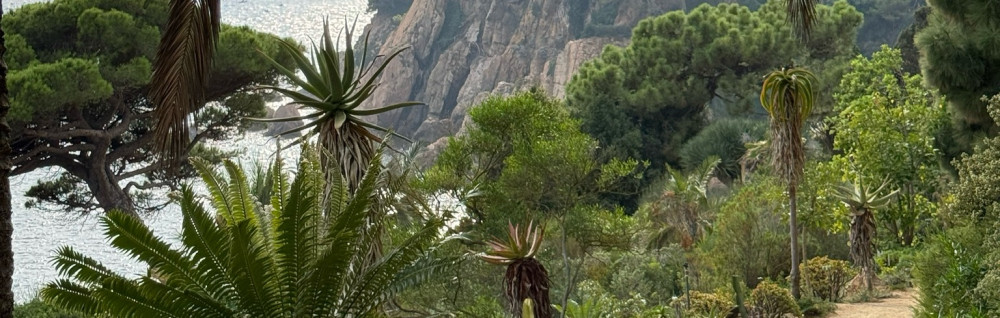 Benjamin P. (All Clean)