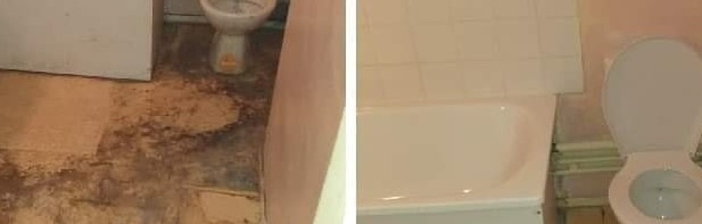 Shaydees Ange R. (Shaydess Jaja’s Clea...