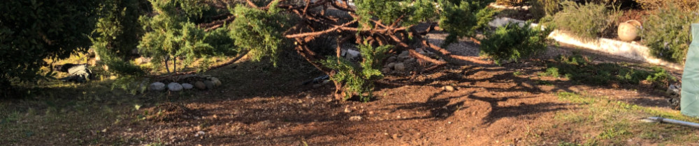 Anthony R. (Aucéma'Nature)