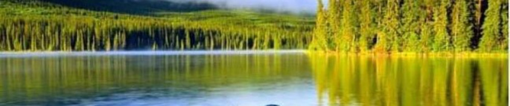 Christophe D. (Multi service habitat)