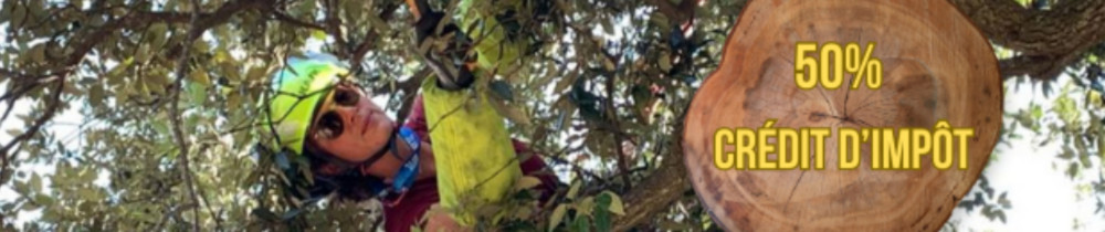 Au cœur des arbres et du jardin