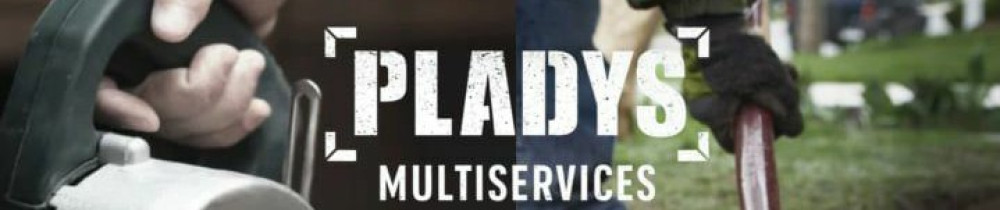 Nicolas P. (Pladys multiservices)