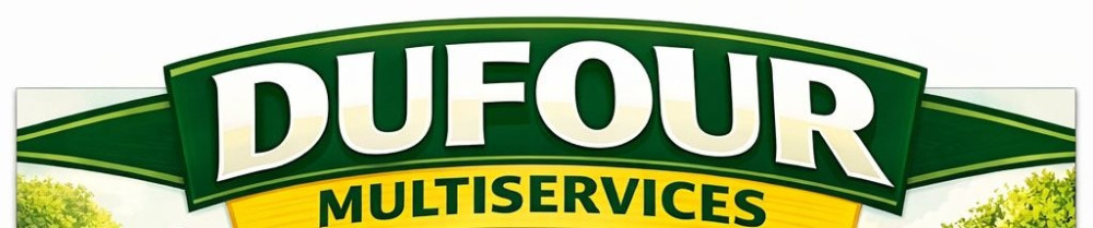 Lionel D. (Dufour Multiservices)