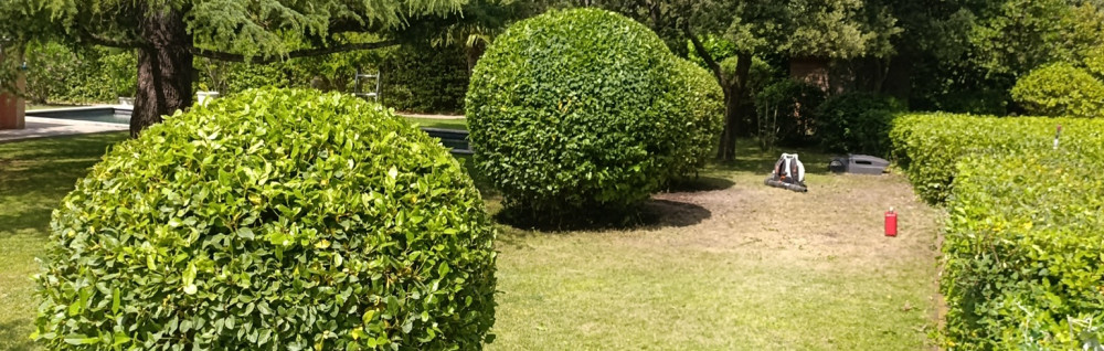 William G. (Willygarden)