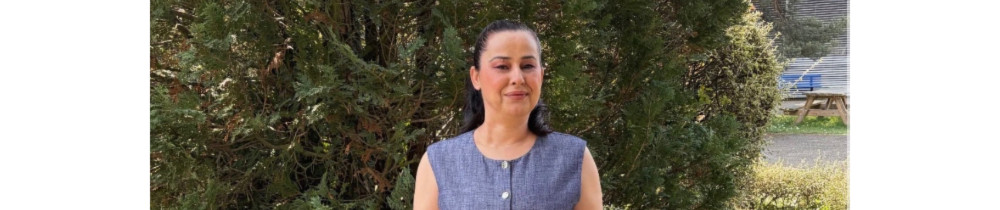 Besiko P.