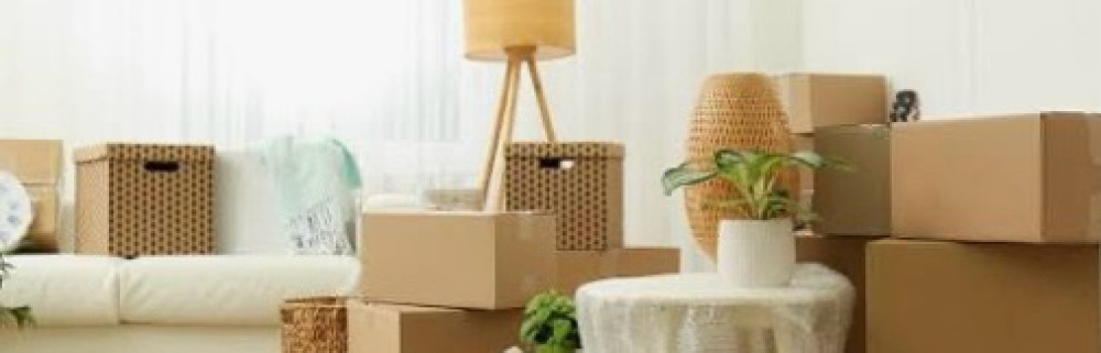 Kabir L. (sfb multiservices)