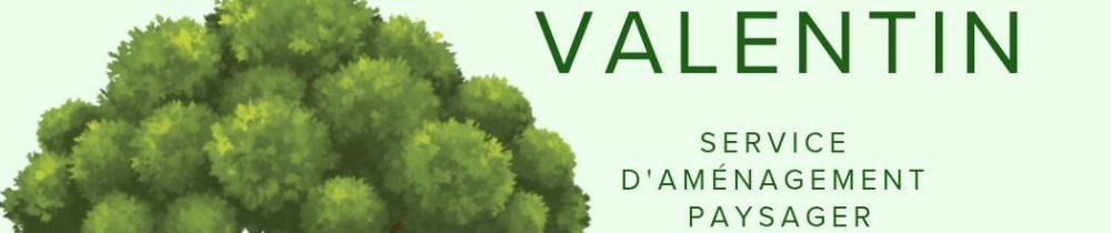 Valentin T. (OPC Jardins)