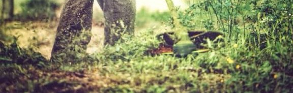 Pierre J. (Jpmultiservice)