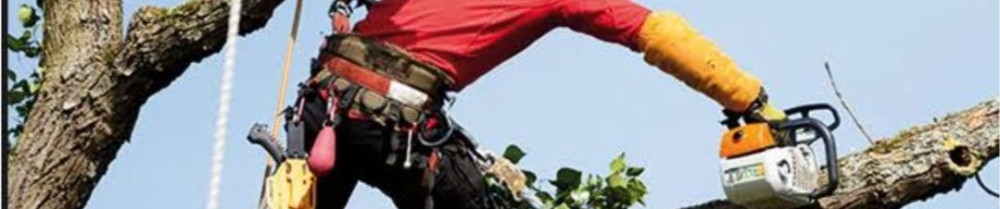 Diego G. (Entreprise gautier)